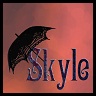 skyle logo